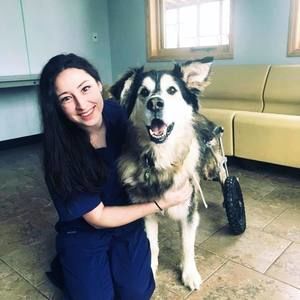 Meet your Posher, Annie